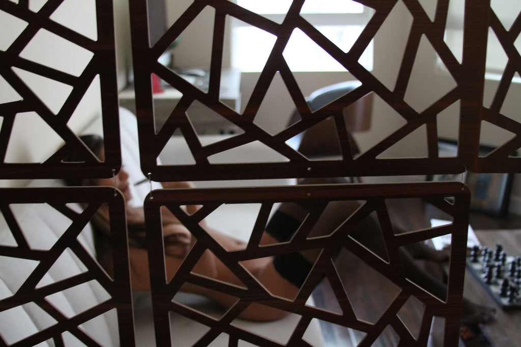 AirVape X or PAX: The Comparison