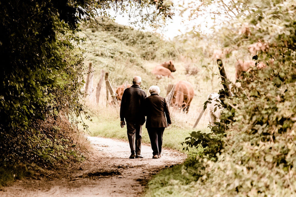 Why Loose Leaf is amazing for the elderly