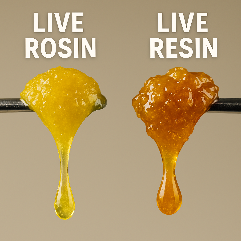 rosin vs resin