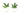 What strain of loose leaf should you buy