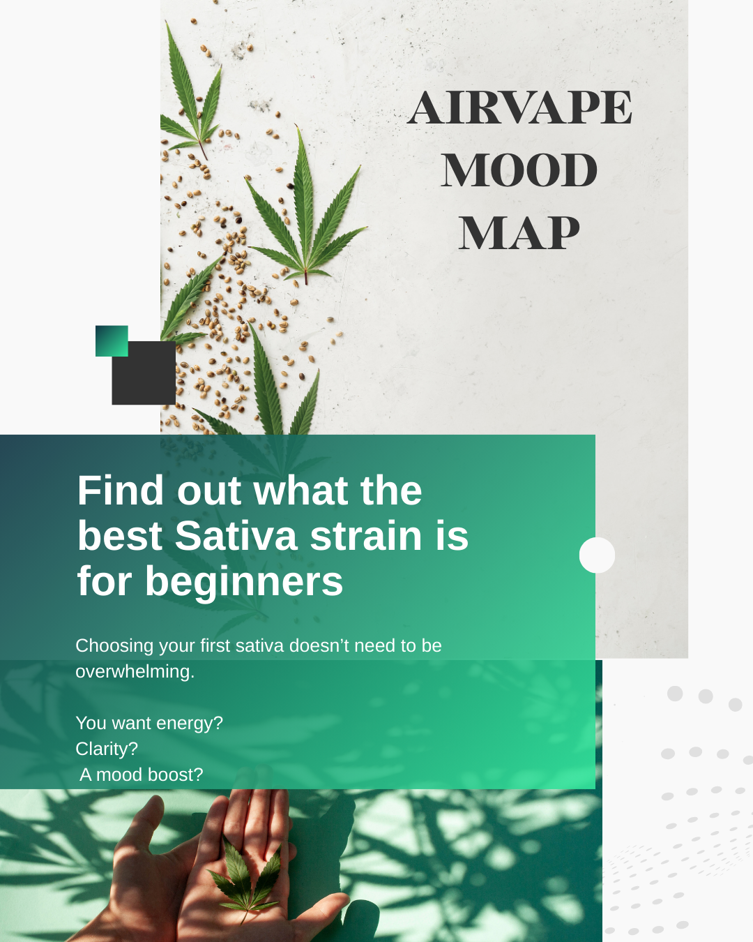 best sativa weed for beginners