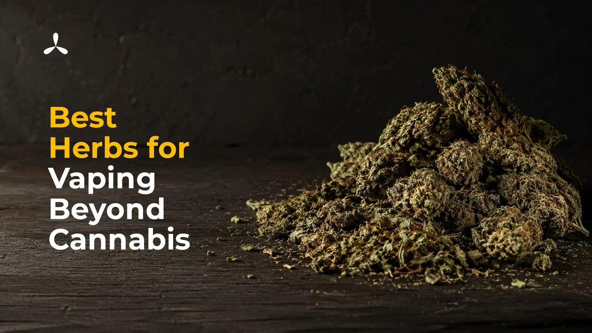 Best Herbs for Vaping Beyond Cannabis