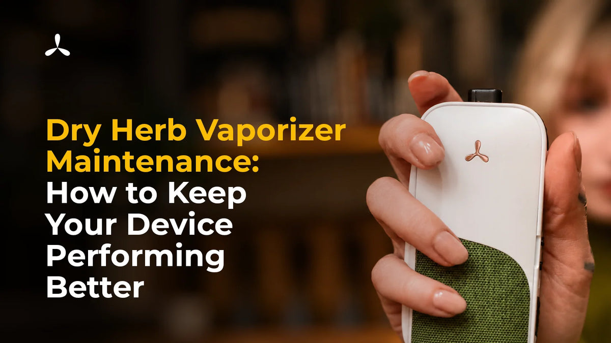 Dry Herb Vaporizer Maintenance, How to Keep Your Device Performing Better