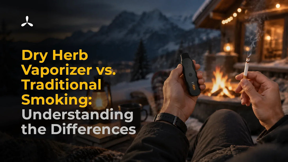 Dry Herb Vaporizer vs. Traditional Smoking: Understanding the Differences