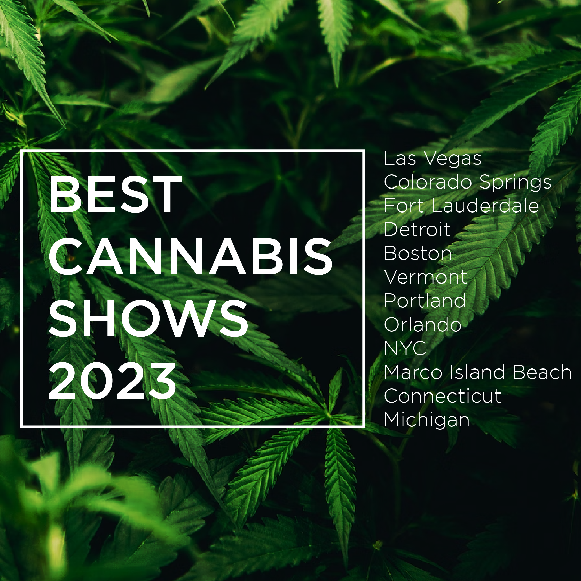 Best Cannabis Shows 2023