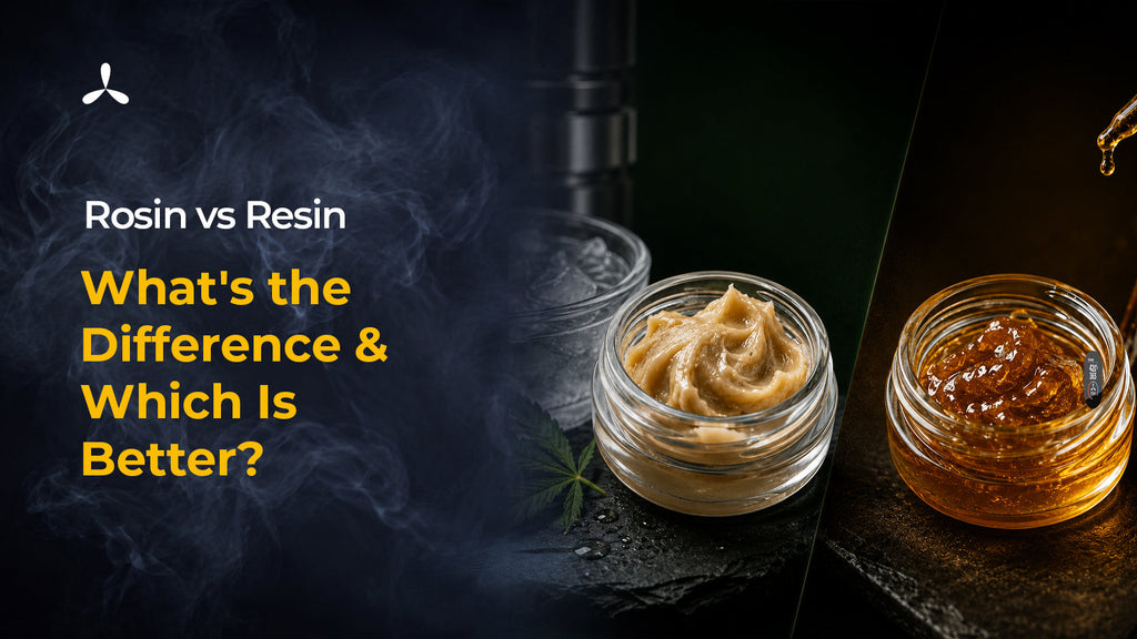 Rosin vs Resin, What's the Difference & Which Is Better?