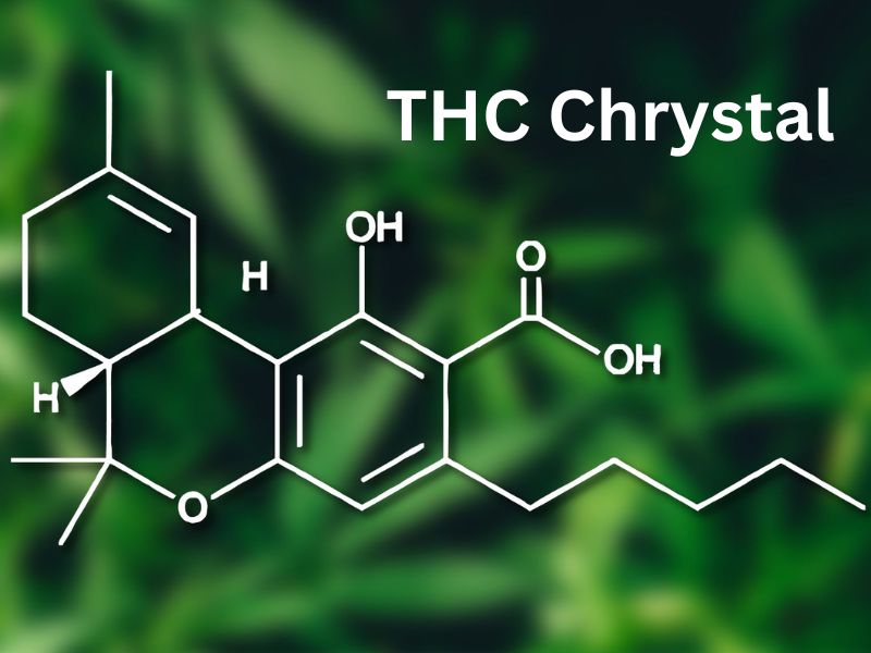 What Is Thc Crystal