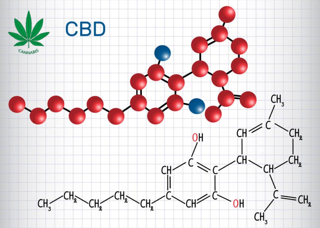 The 411 on CBD: 5 Benefits of Cannabidiol Vaping