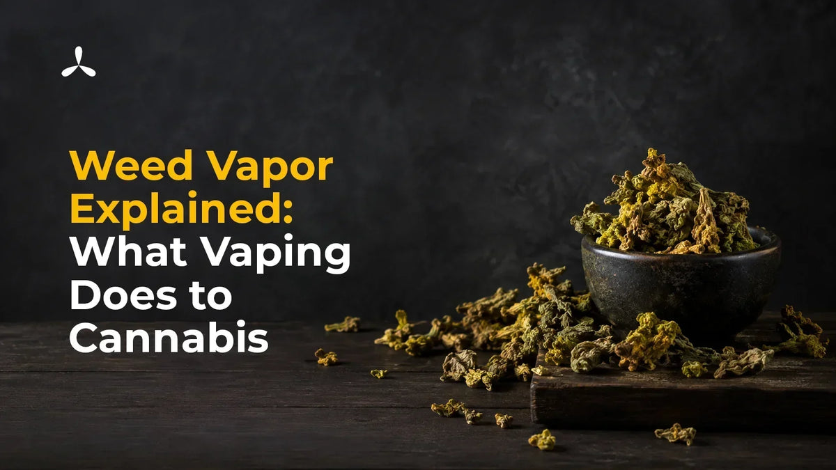 Weed Vapor Explained: What Vaping Does to Cannabis