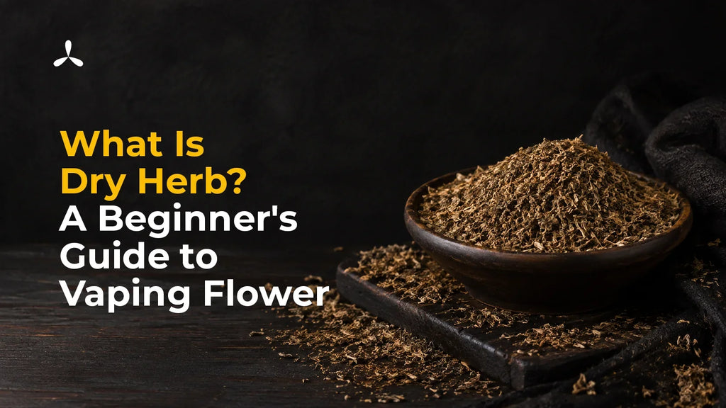 What Is Dry Herb? A Beginner's Guide to Vaping Flower