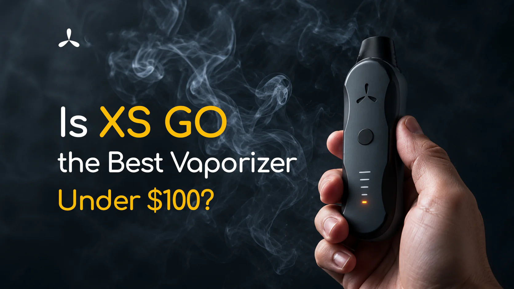 Is XS GO the Best Vaporizer Under $100?