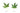 What strain of loose leaf should you buy